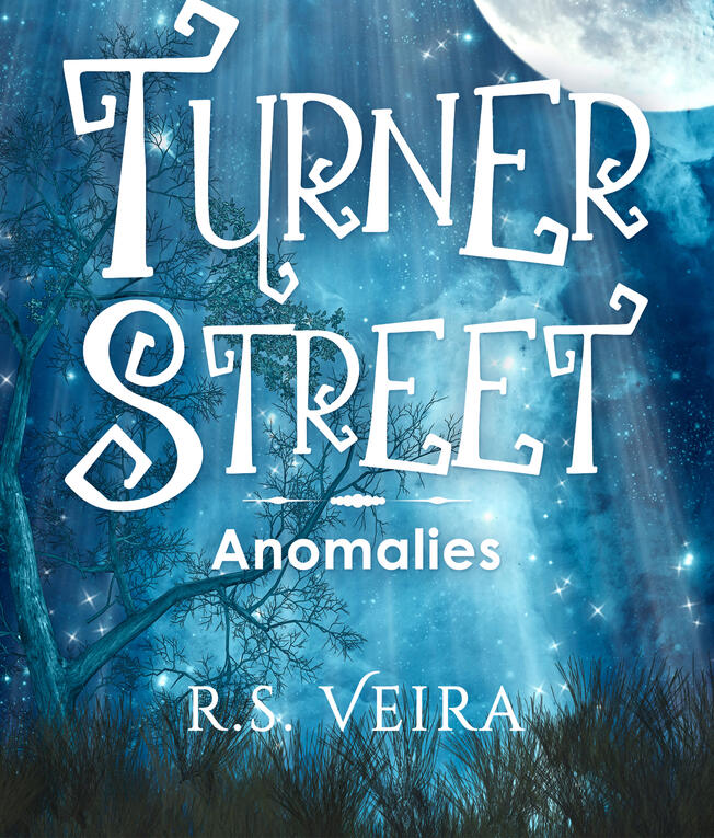 Turner Street Book 3